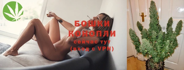 индика Бугульма