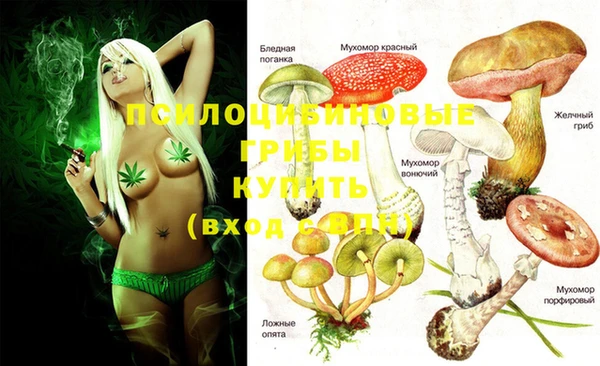 мяу мяу кристалл Киров