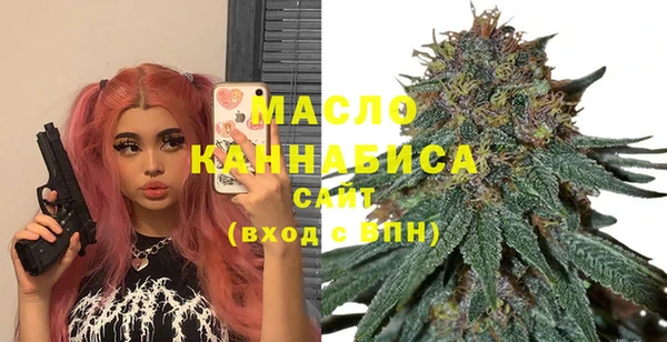 индика Бугульма