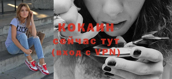 спайс Лагань
