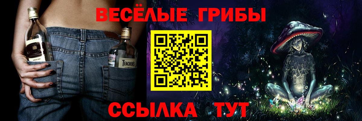 купить закладку  Галлюциногенные грибы Magic Shrooms  Вход с VPN  Выкса  Псилоцибиновые грибы прущие грибы 