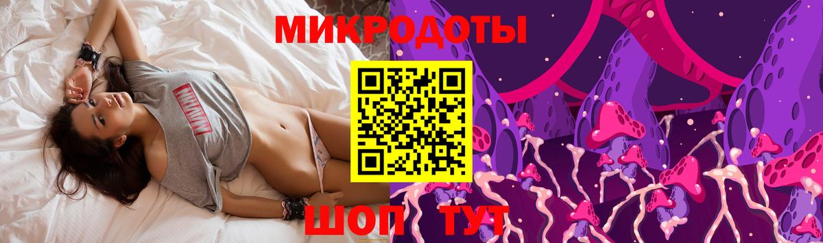 Галлюциногенные грибы Psilocybe Выкса